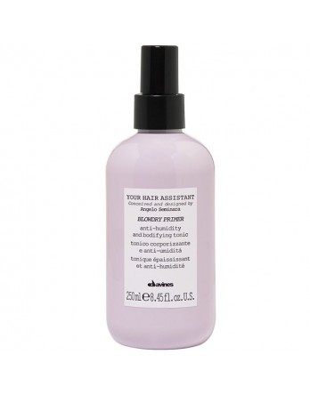 Davines Your Hair Assistant Blowdry Primer