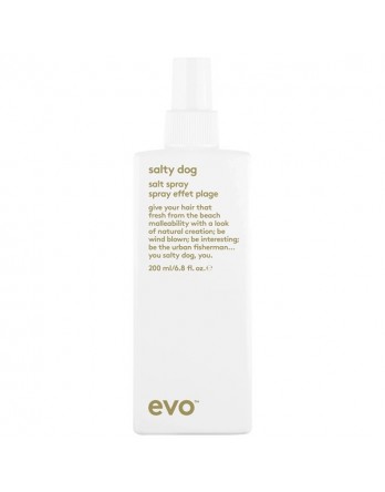 EVO Salty Dog Salt Spray