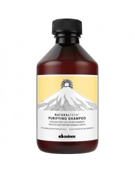 Davines NaturalTech Purifying Shampoo